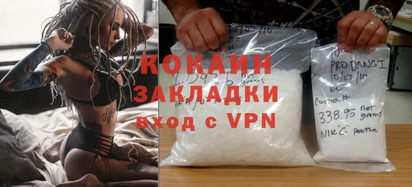 твердый Арсеньев