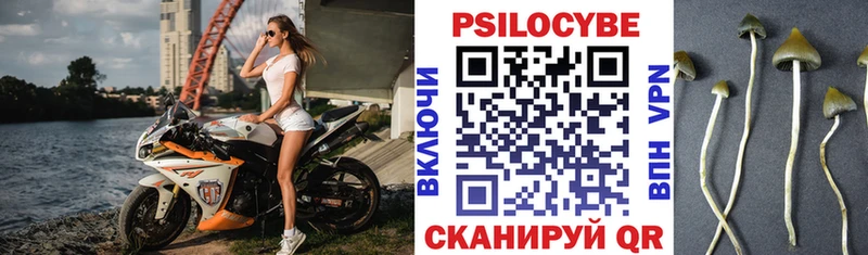 дарнет шоп  Новодвинск  Галлюциногенные грибы ЛСД 