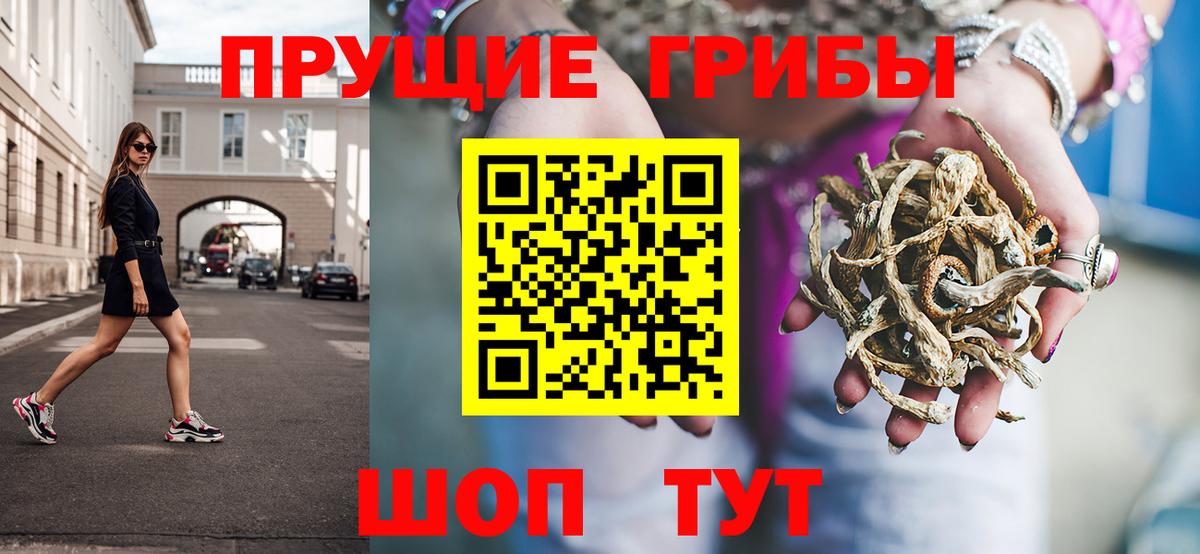 Новодвинск  купить закладку  Вход с VPN  Псилоцибиновые грибы Magic Shrooms 