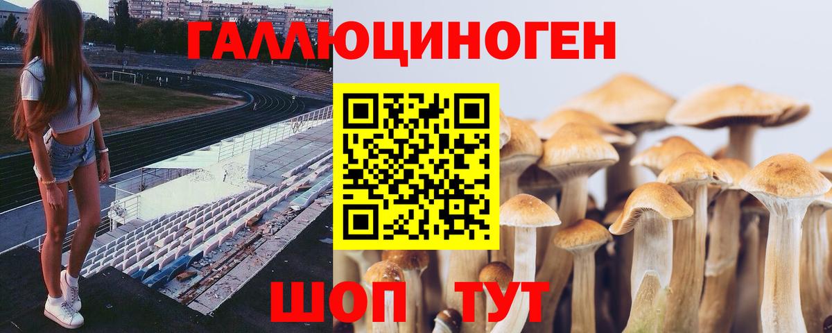 Галлюциногенные грибы GOLDEN TEACHER Новодвинск