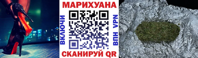 купить закладку  Новодвинск  Конопля сатива 